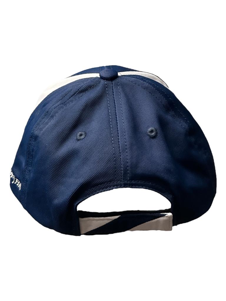 Predatory Fins Shark Logo Hat / Cap