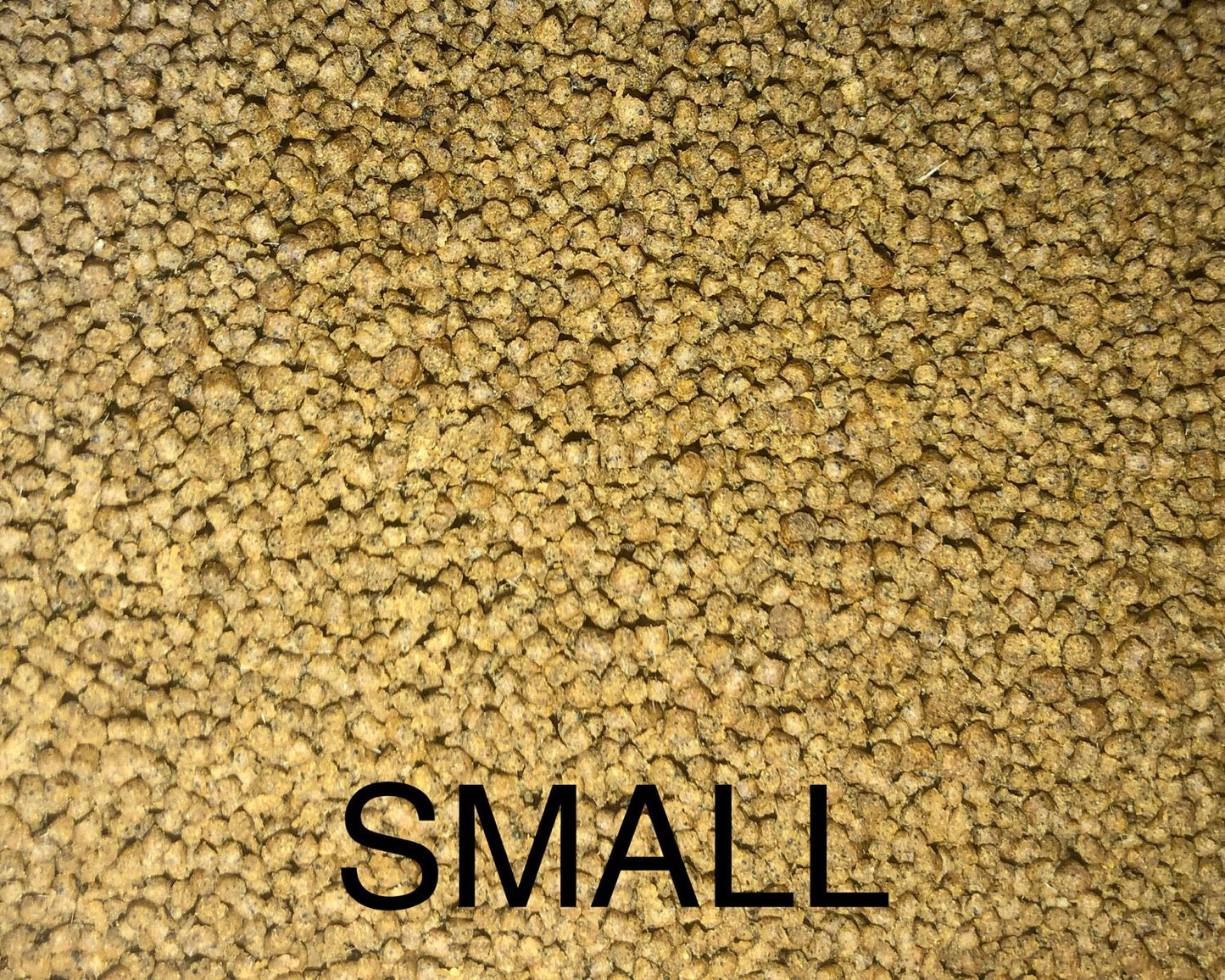 Predatory Fins Floating Pellet Food