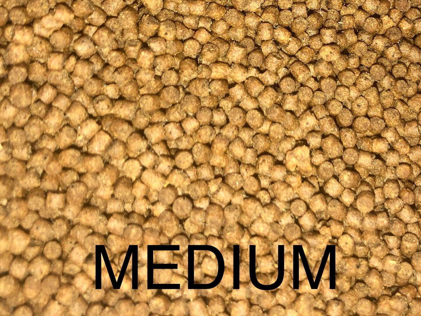 Predatory Fins Floating Pellet Food