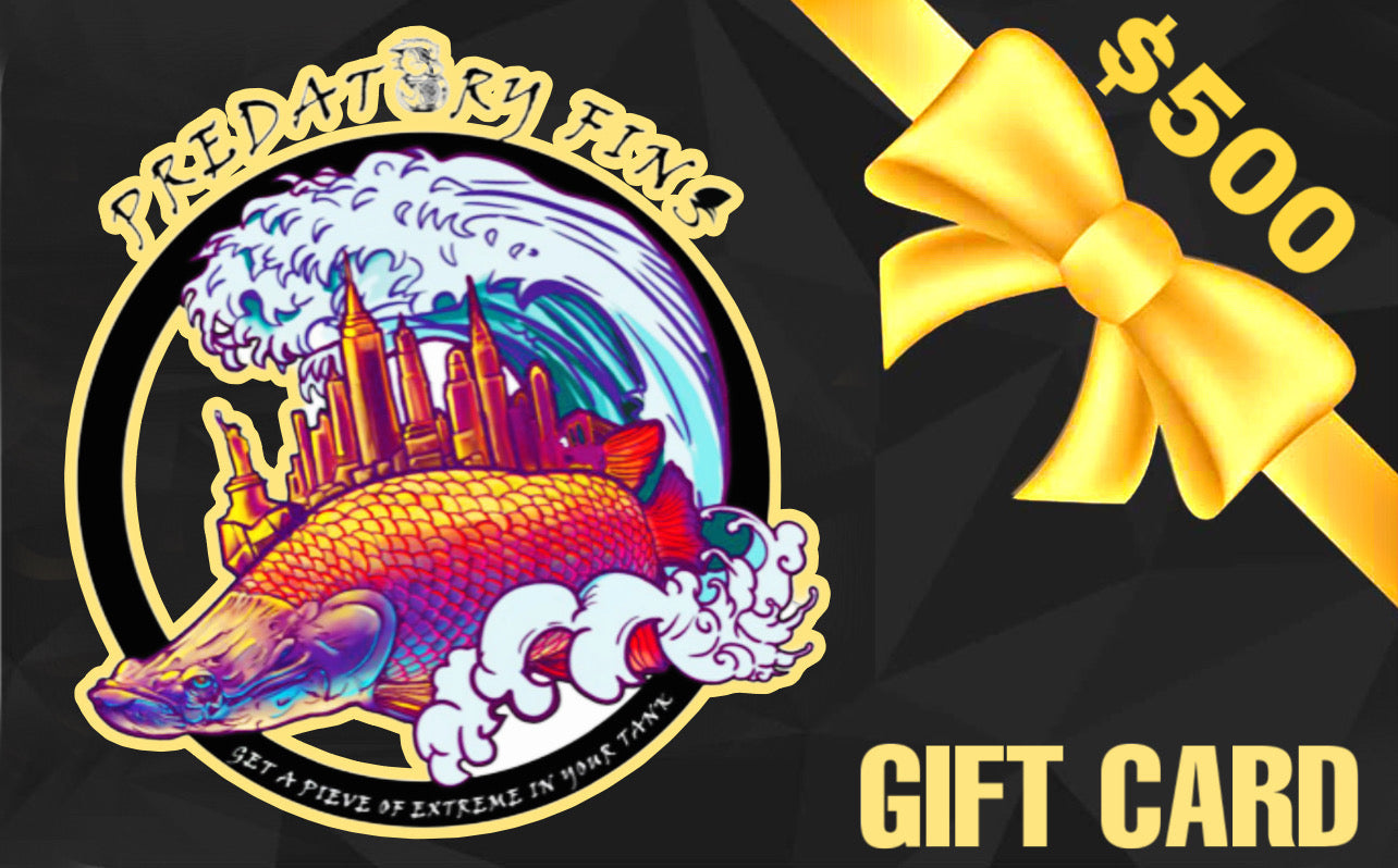Predatory Fins Gift Card