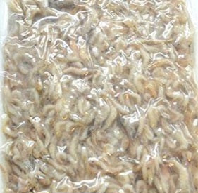 Mini Monsters - Frozen Feeder Ghost Shrimp